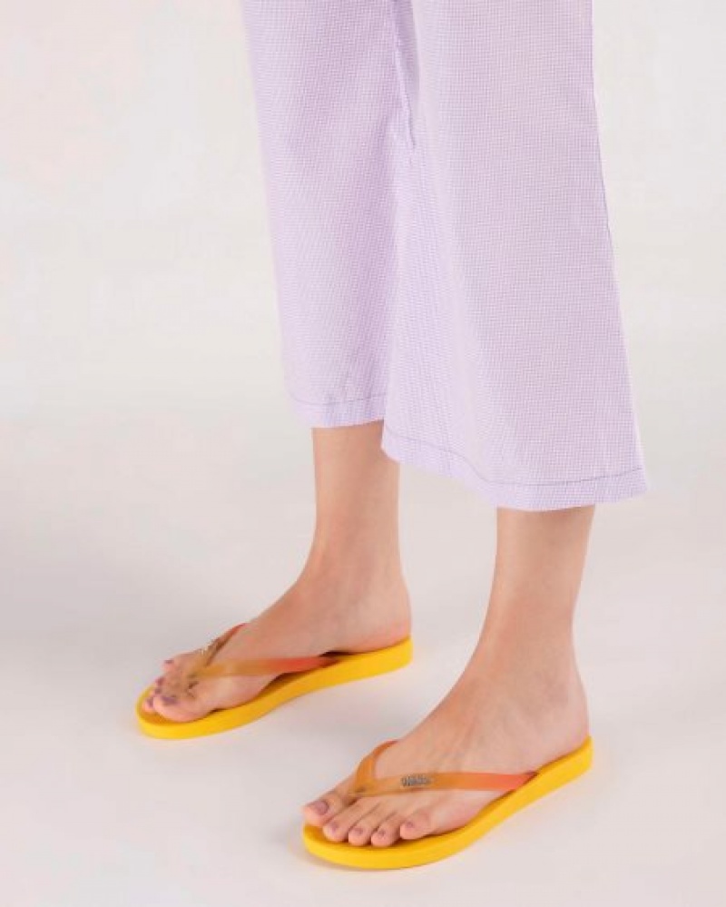 Melissa Sun Venice Flip Flops Kadın Yellow/Clear Türkiye | 07136MFBX