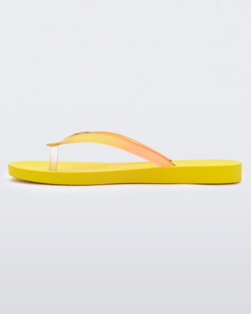 Melissa Sun Venice Flip Flops Kadın Yellow/Clear Türkiye | 07136MFBX